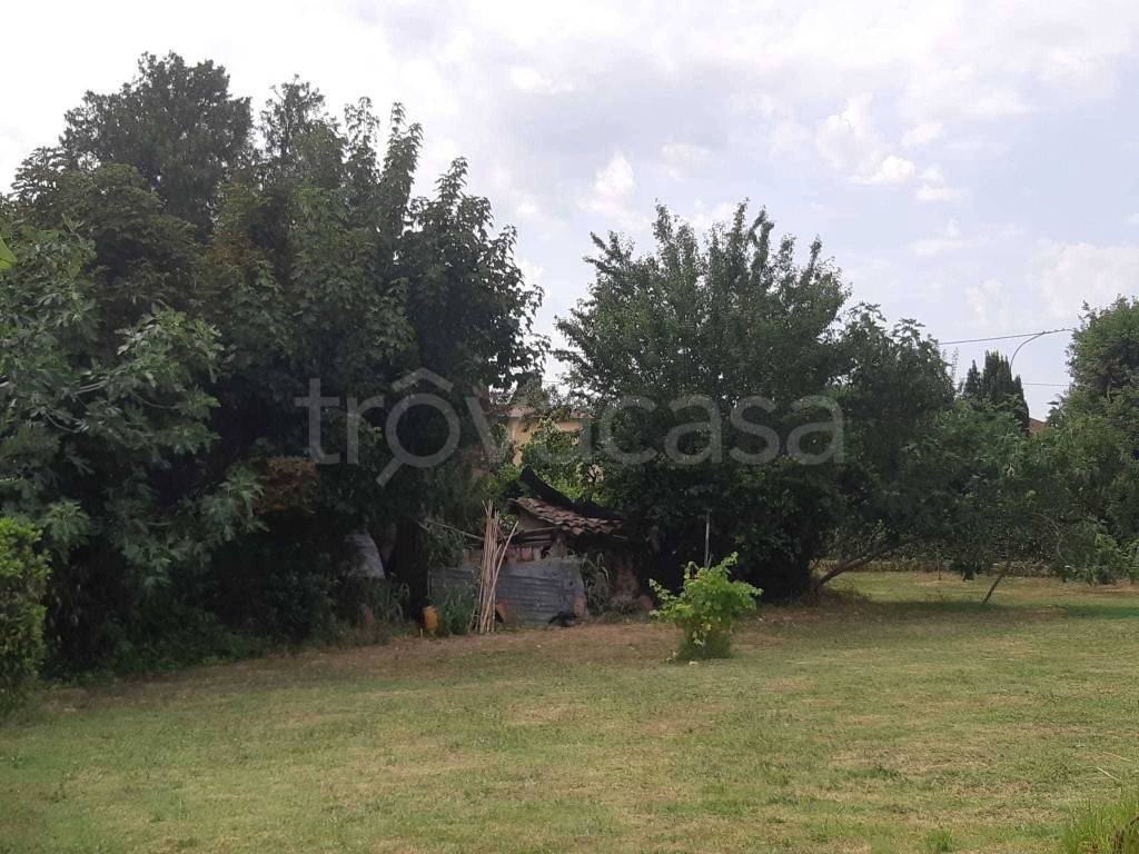 immagine annuncio 1 di 7