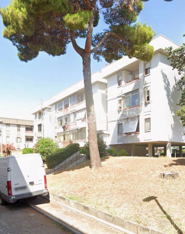 immagine annuncio 1 di 2