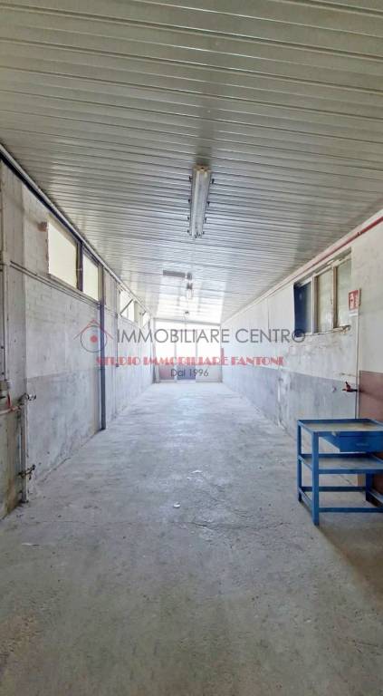 immagine annuncio 5 di 6