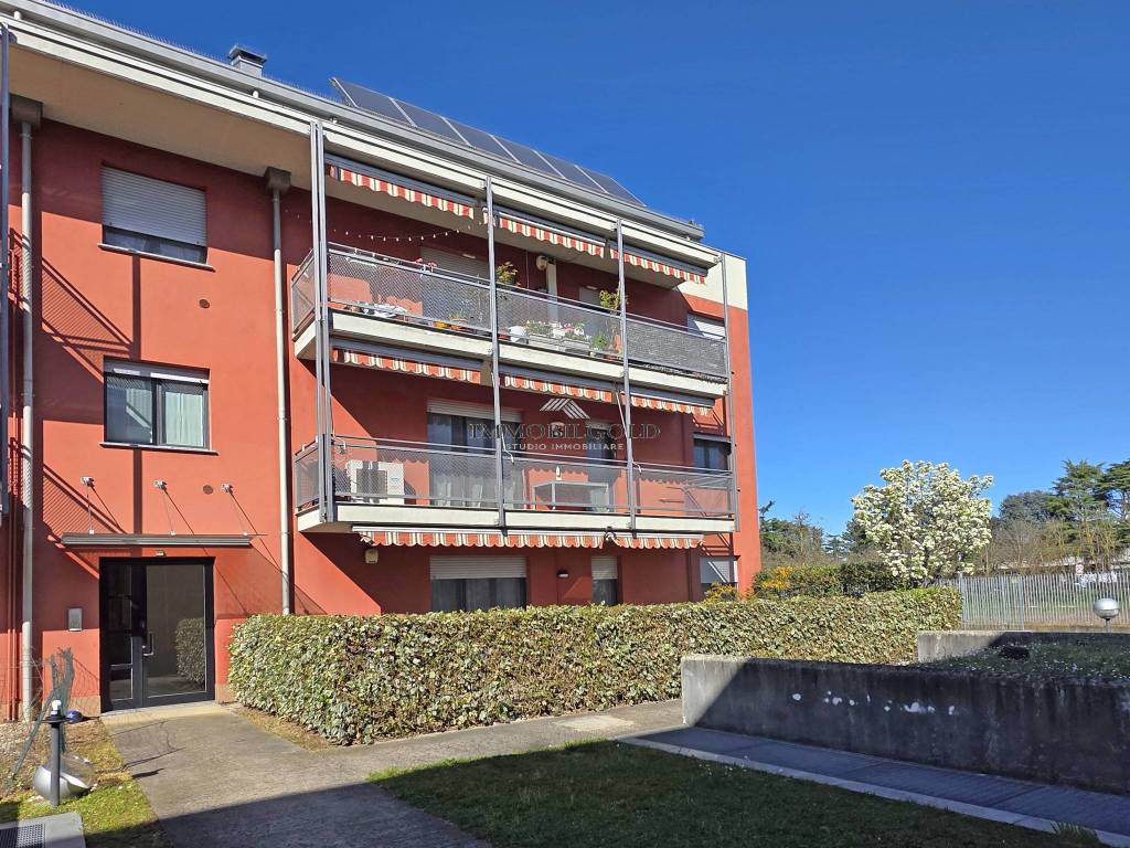 immagine annuncio 12 di 13