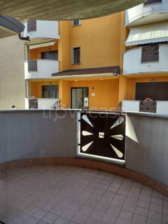 immagine annuncio 3 di 14