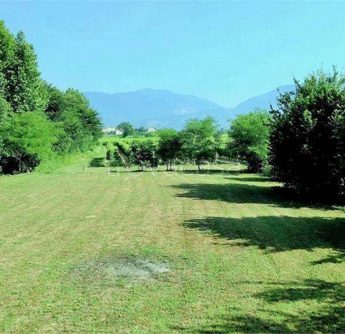 immagine annuncio 2 di 7