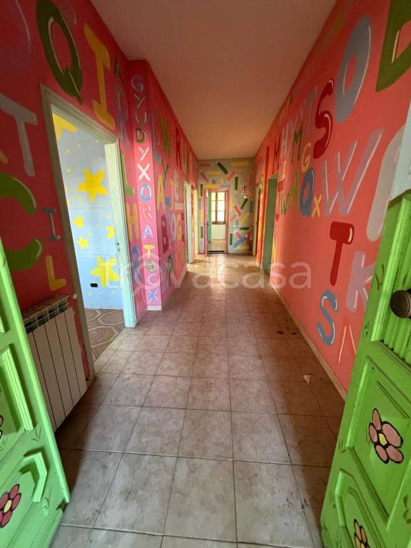 immagine annuncio 5 di 11