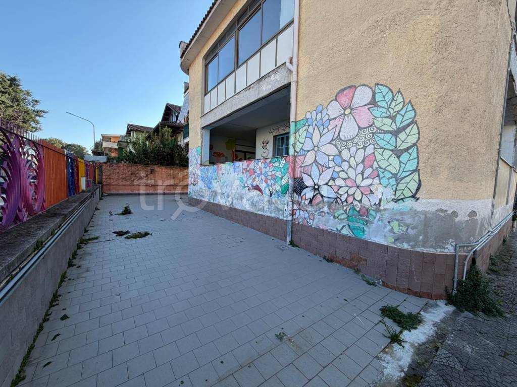 immagine annuncio 10 di 11