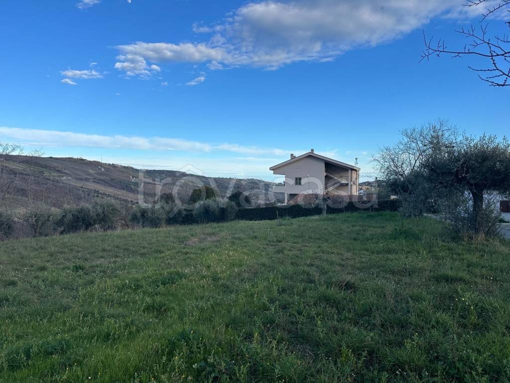 immagine annuncio 2 di 11