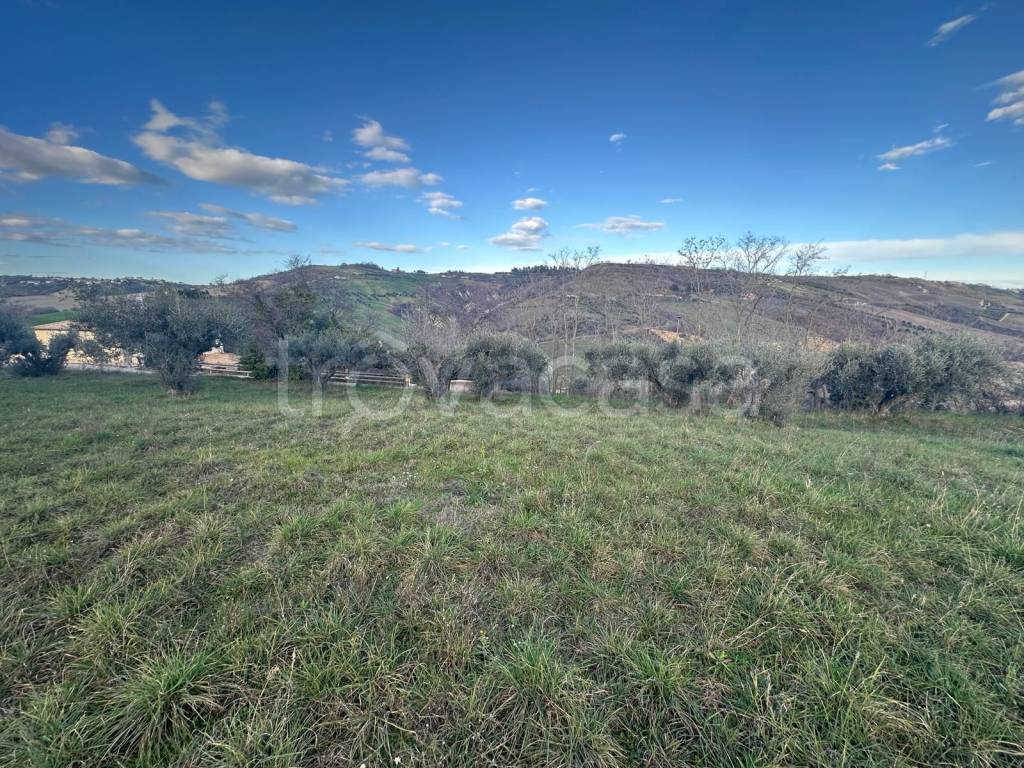 immagine annuncio 4 di 11