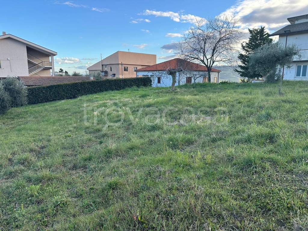 immagine annuncio 5 di 11