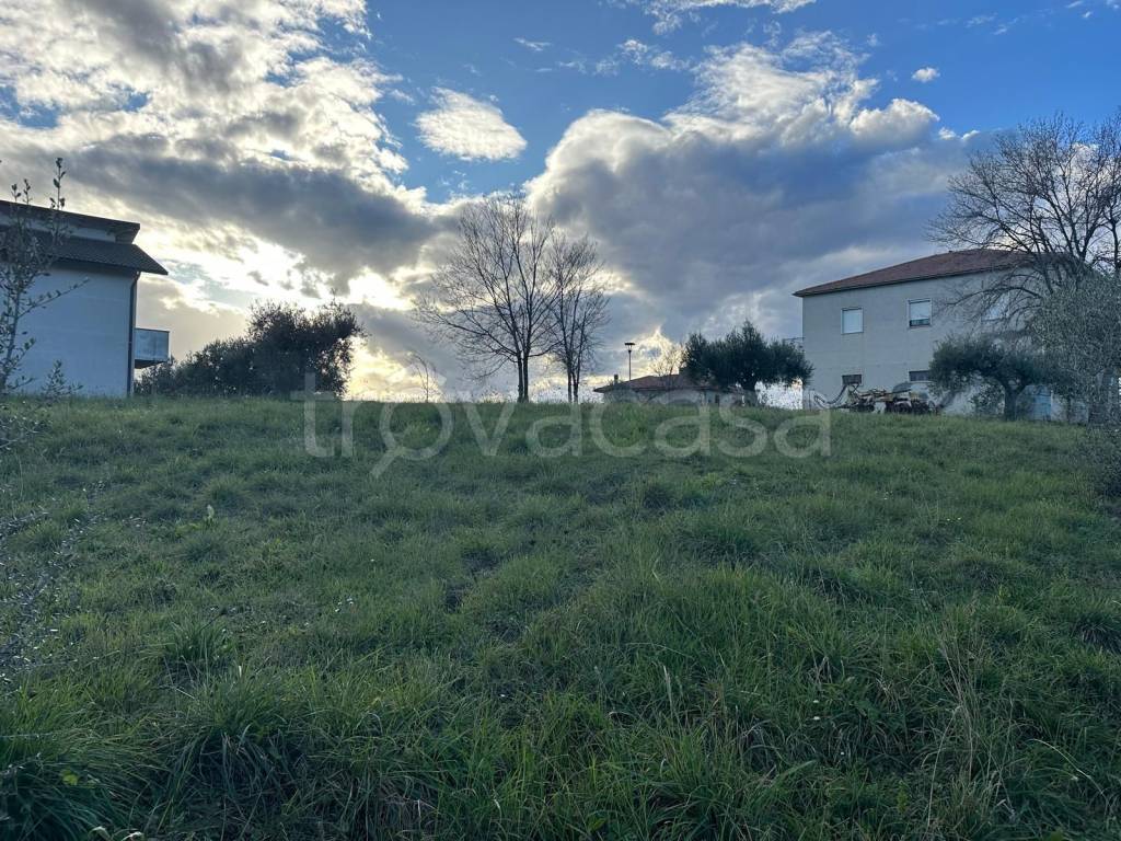 immagine annuncio 6 di 11