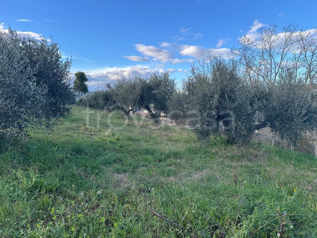 immagine annuncio 7 di 11