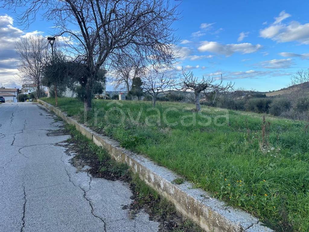 immagine annuncio 8 di 11