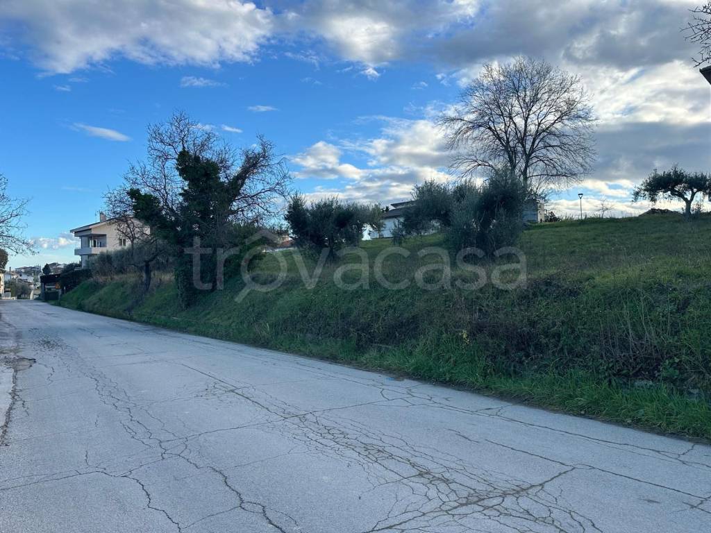 immagine annuncio 9 di 11