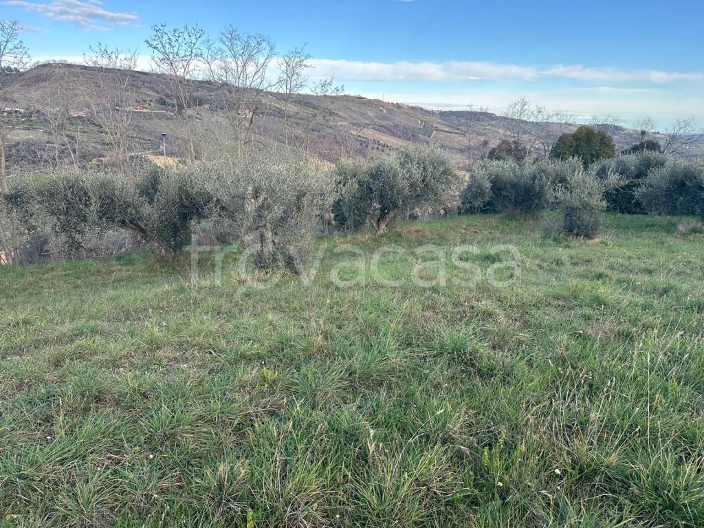 immagine annuncio 10 di 11