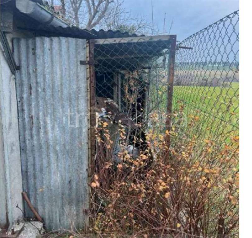 immagine annuncio 1 di 14