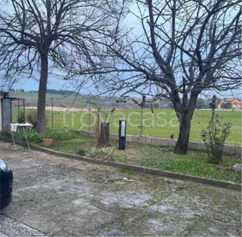 immagine annuncio 6 di 14