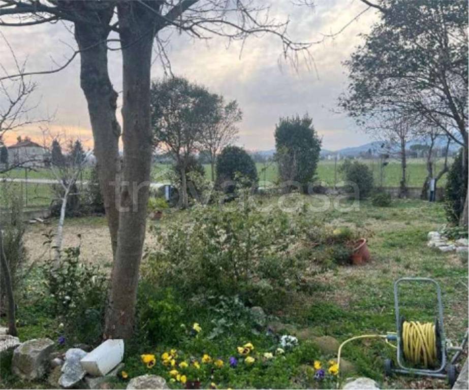 immagine annuncio 7 di 14