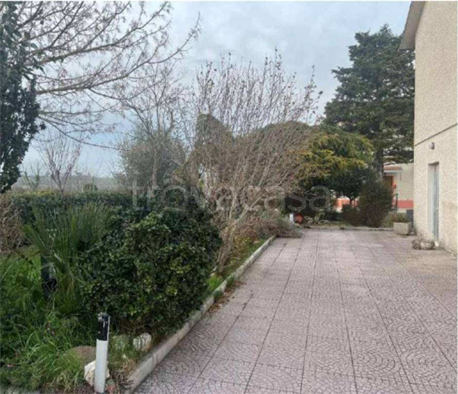 immagine annuncio 11 di 14