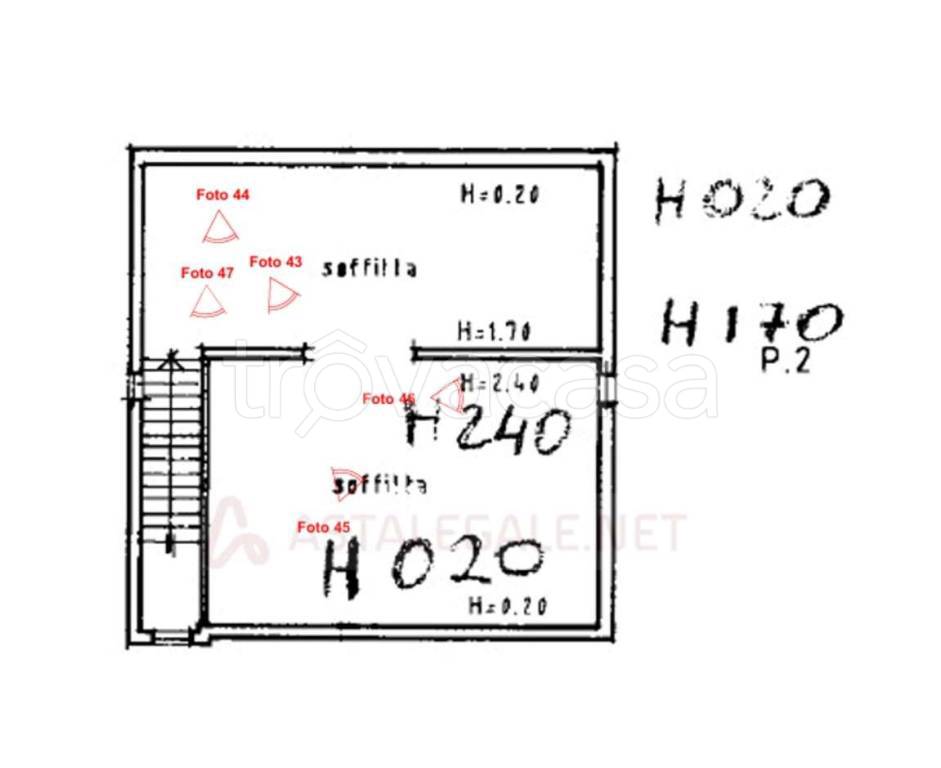 immagine annuncio 12 di 14