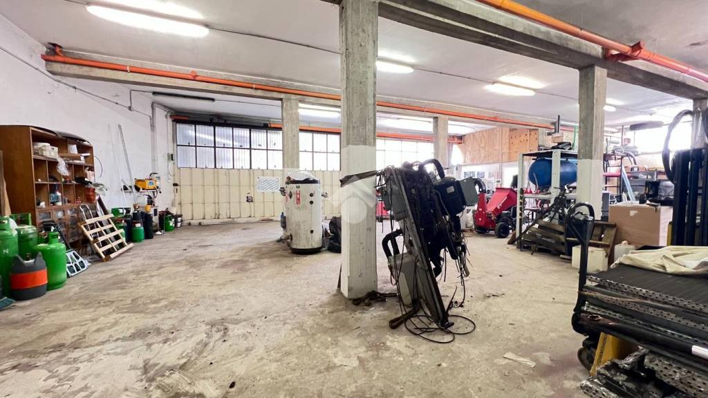 immagine annuncio 3 di 15