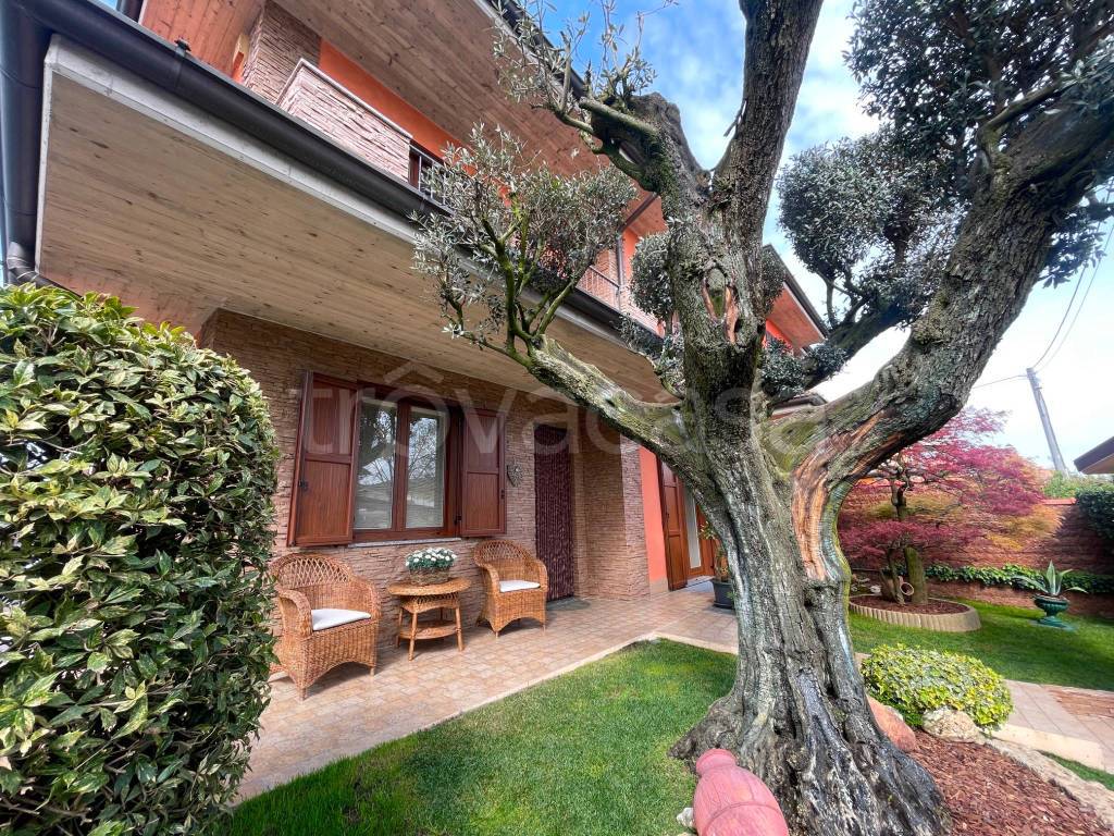 immagine annuncio 1 di 15