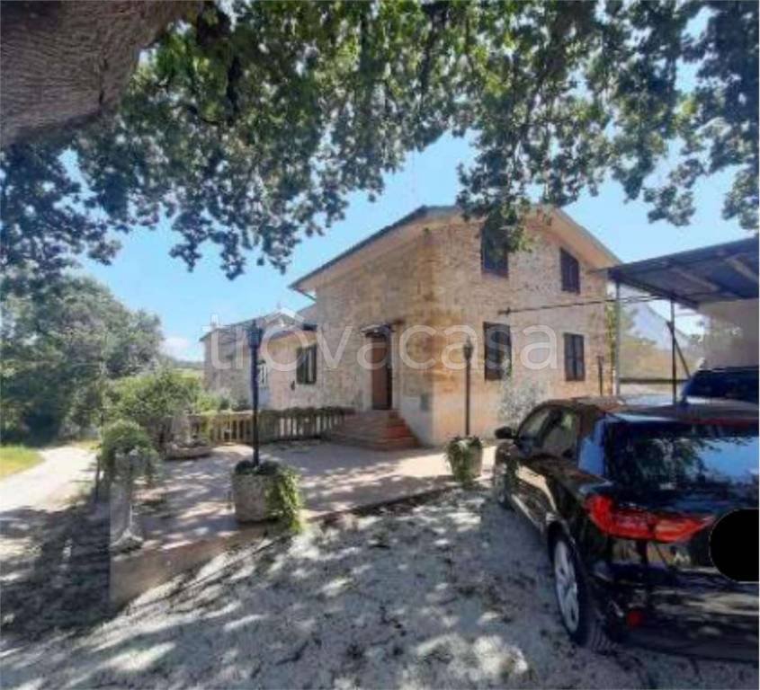 immagine annuncio 4 di 13