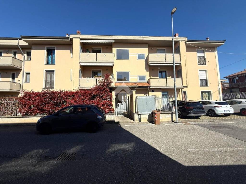 immagine annuncio 8 di 15