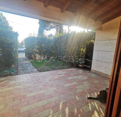 immagine annuncio 2 di 14