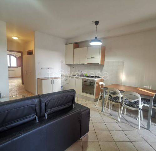 immagine annuncio 3 di 14