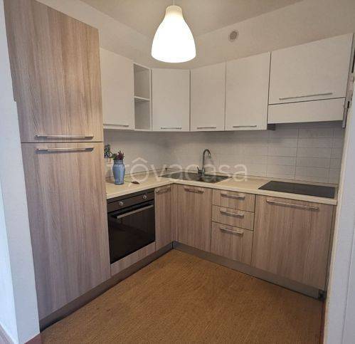 immagine annuncio 4 di 14