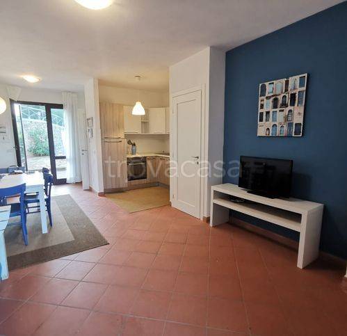 immagine annuncio 6 di 14