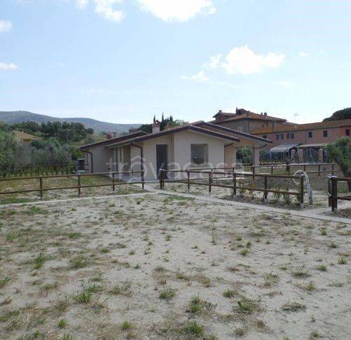 immagine annuncio 2 di 6