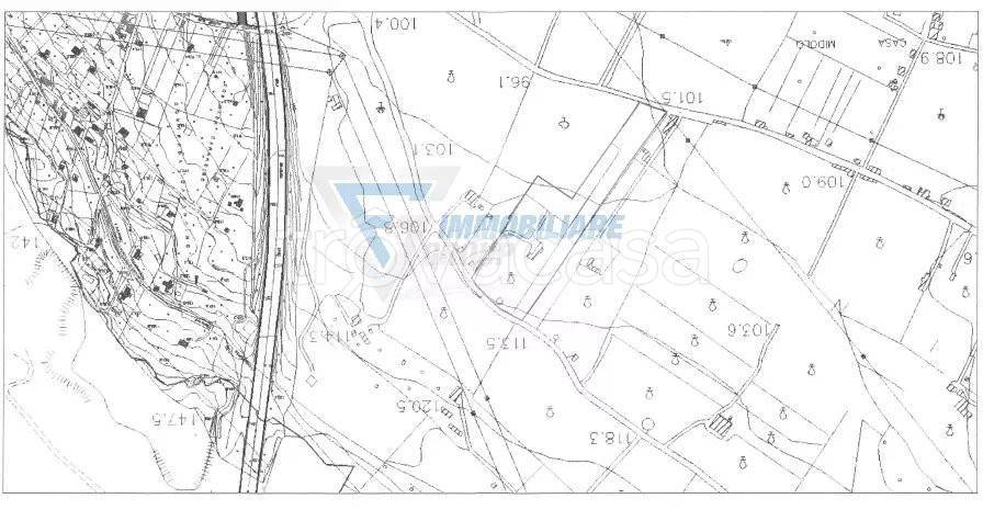 immagine annuncio 2 di 6