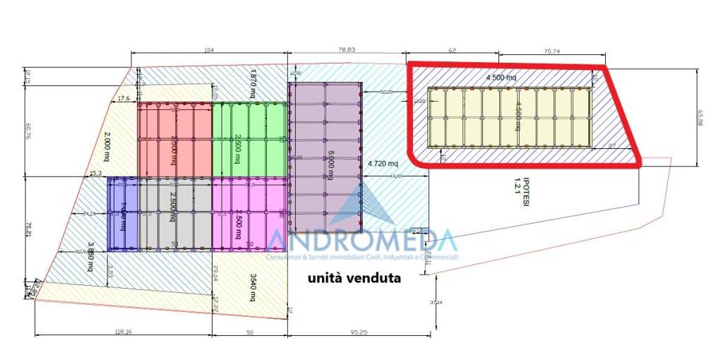 immagine annuncio 1 di 2