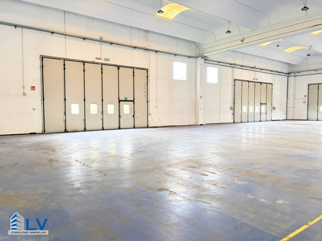 immagine annuncio 1 di 14