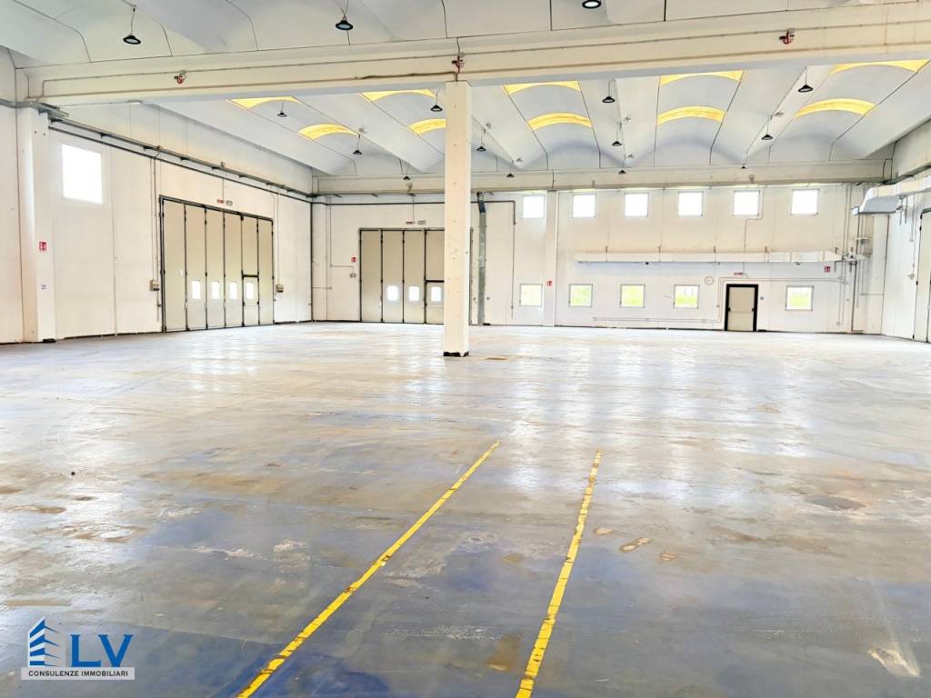 immagine annuncio 2 di 14