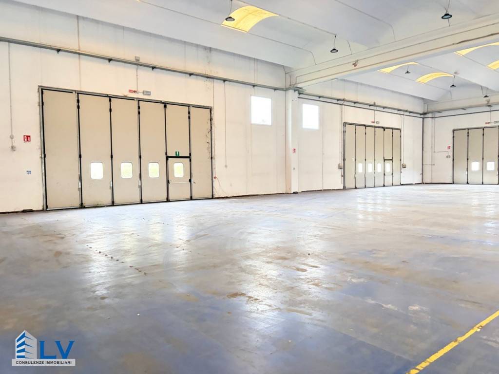 immagine annuncio 3 di 14