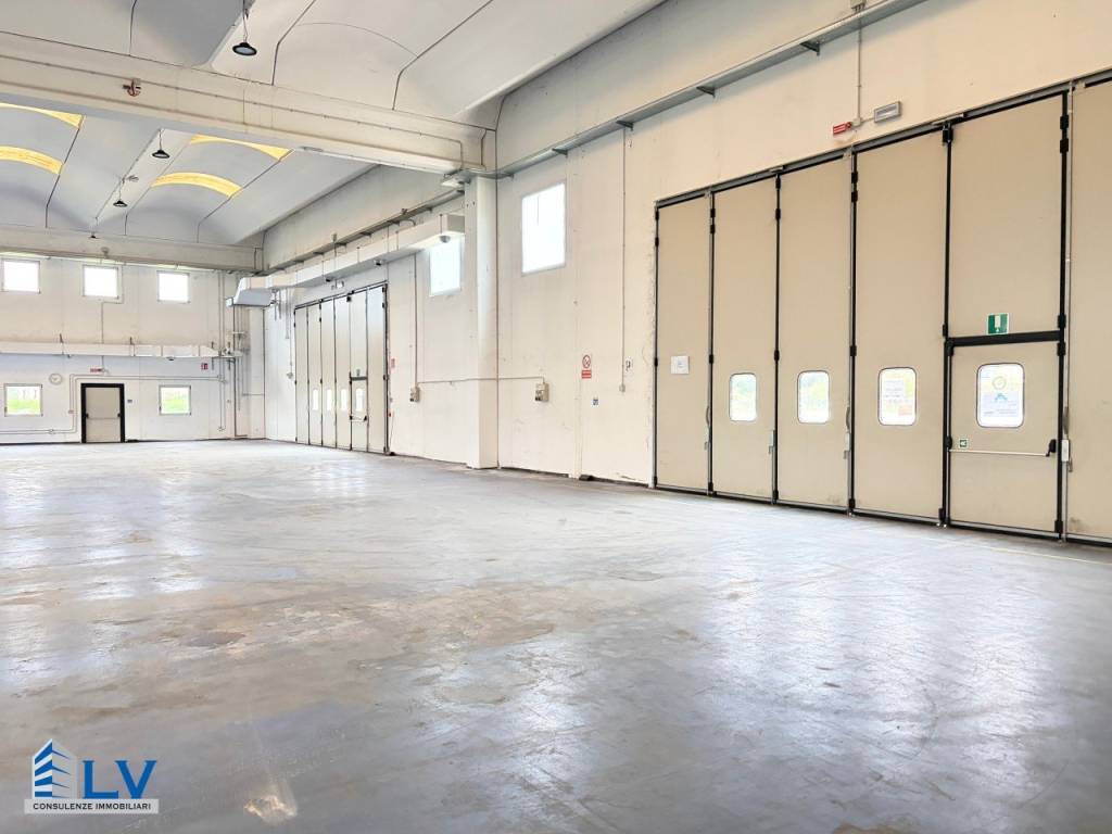 immagine annuncio 4 di 14