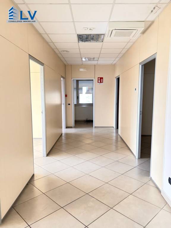 immagine annuncio 7 di 14