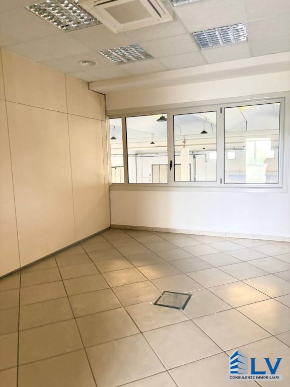 immagine annuncio 8 di 14