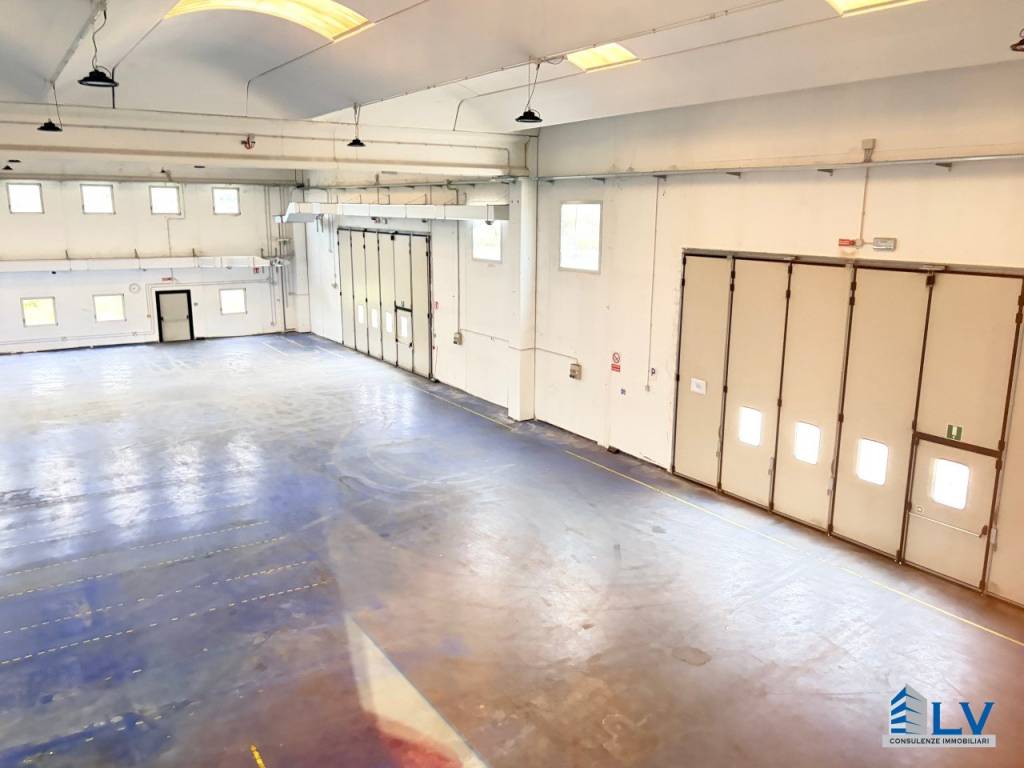 immagine annuncio 10 di 14