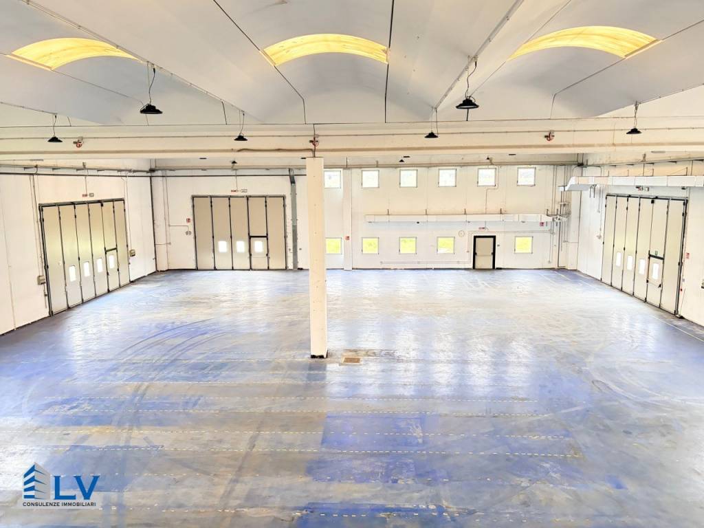 immagine annuncio 11 di 14