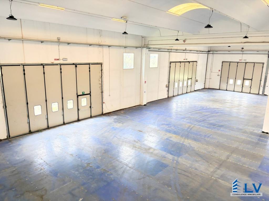 immagine annuncio 12 di 14