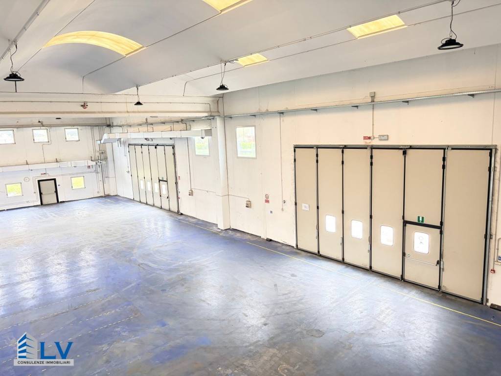 immagine annuncio 13 di 14