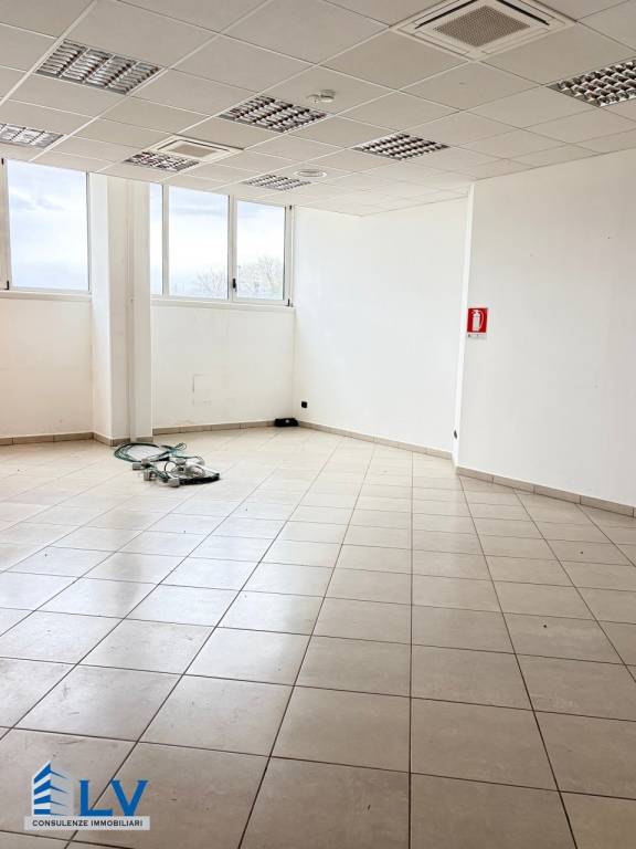 immagine annuncio 6 di 14