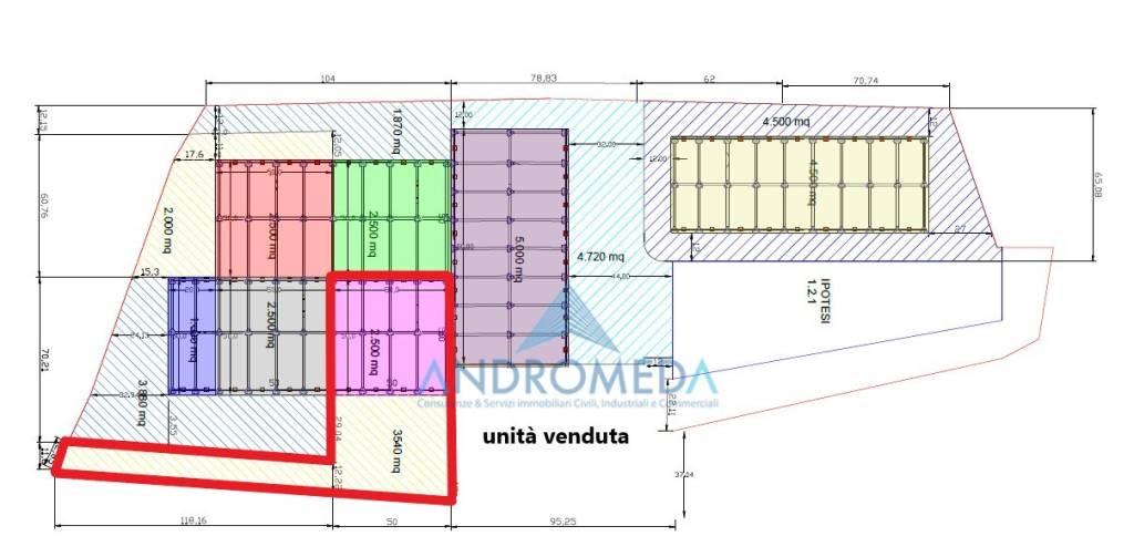 immagine annuncio 1 di 2