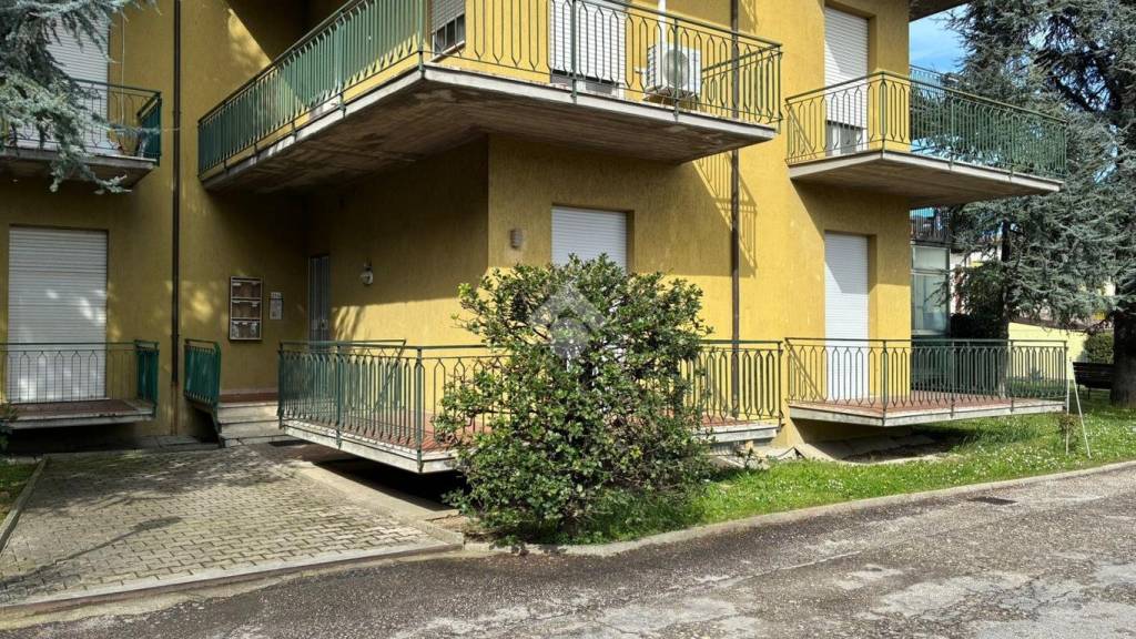 immagine annuncio 1 di 11