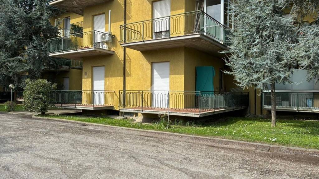 immagine annuncio 2 di 11