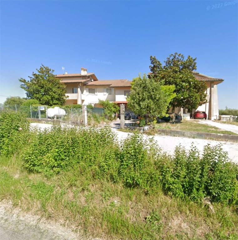 immagine annuncio 2 di 12