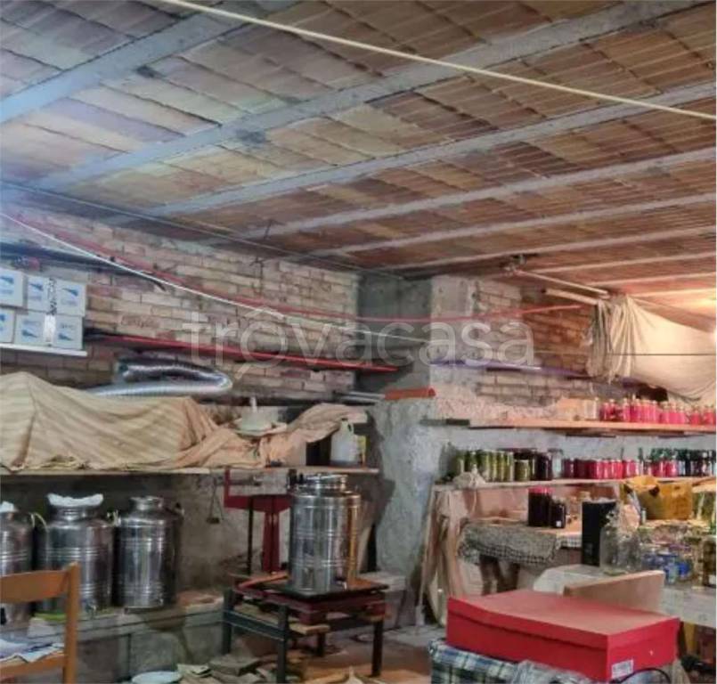 immagine annuncio 5 di 12