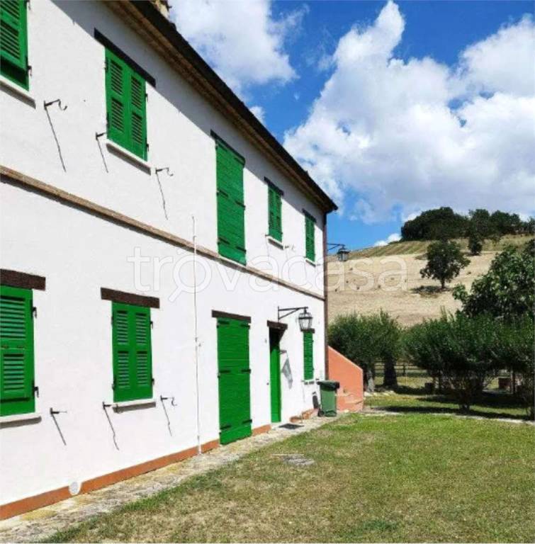 immagine annuncio 4 di 12