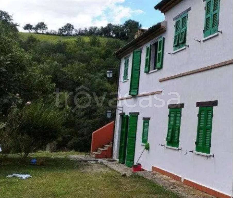 immagine annuncio 9 di 12